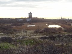 DSC01110