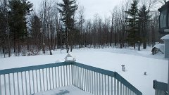 DSC01790