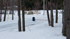 DSC01797