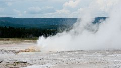 DSC03354