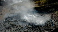 DSC03403