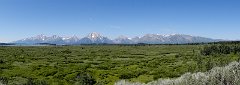 DSC03478-02