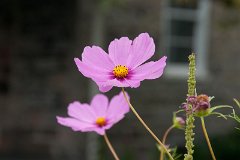 DSC05362