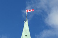 IMG_1454