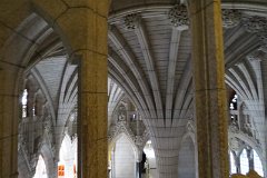 IMG_1455