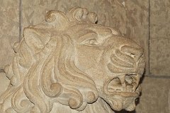 IMG_1457