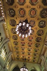 IMG_1490