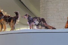 IMG_1527