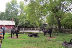 IMG_1590