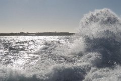 DSC00598