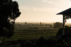 DSC00817