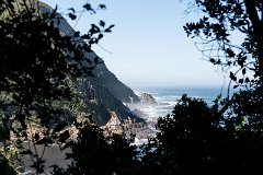DSC00955