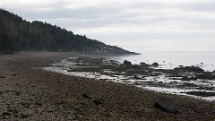 DSC05209