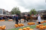KHEL01982
