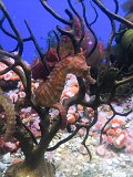 IMG_9969