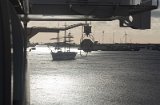 HEL02423