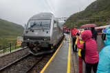HEL02542