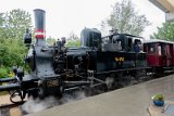 HEL03877