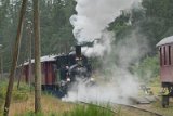 HEL03883